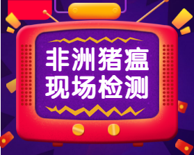 适合非瘟现场检测的新产品 - 基因试纸管