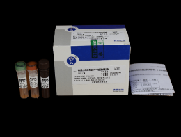 猪细小病毒荧光PCR检测试剂盒
